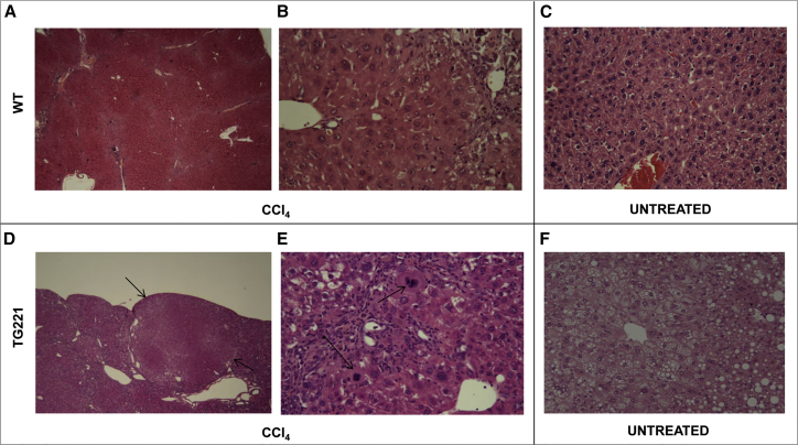 Figure 3