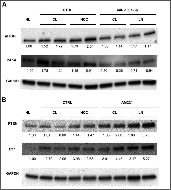 Figure 6