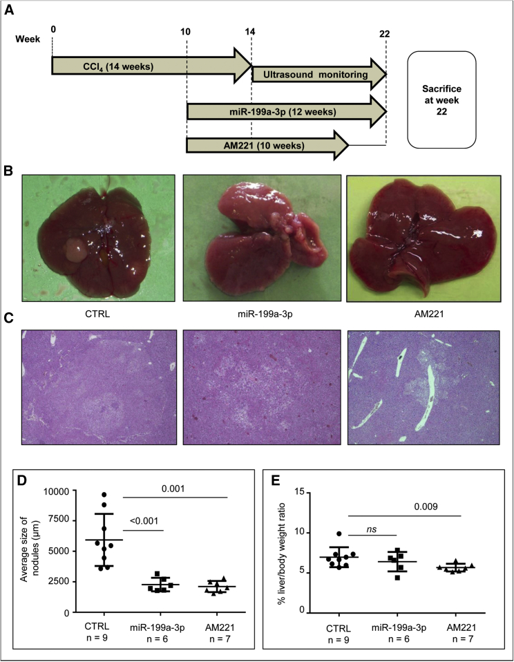 Figure 5