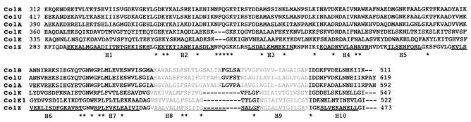 FIG. 5.