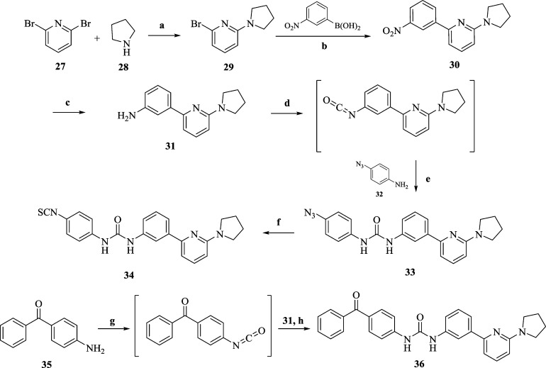 Scheme 5