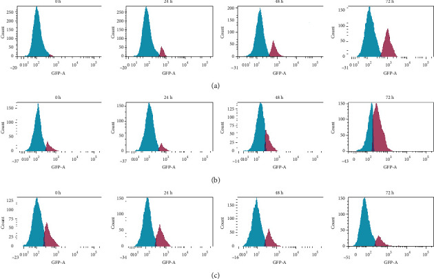 Figure 16