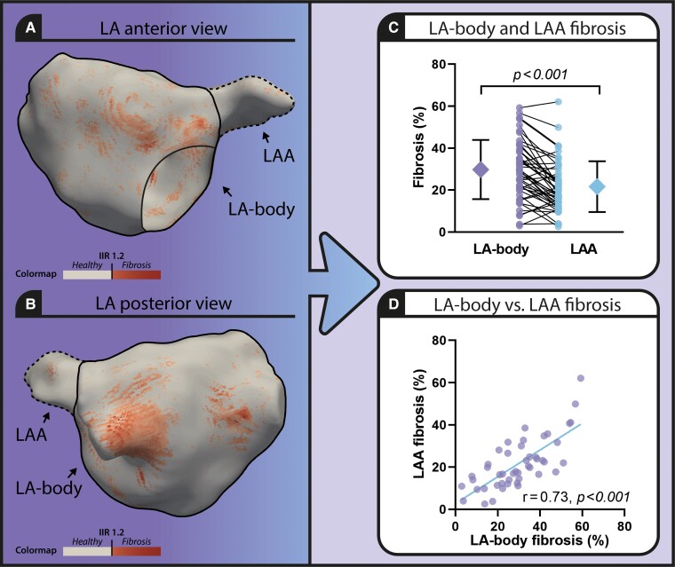 Graphical Abstract