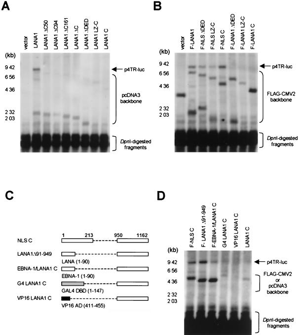 FIG. 5.