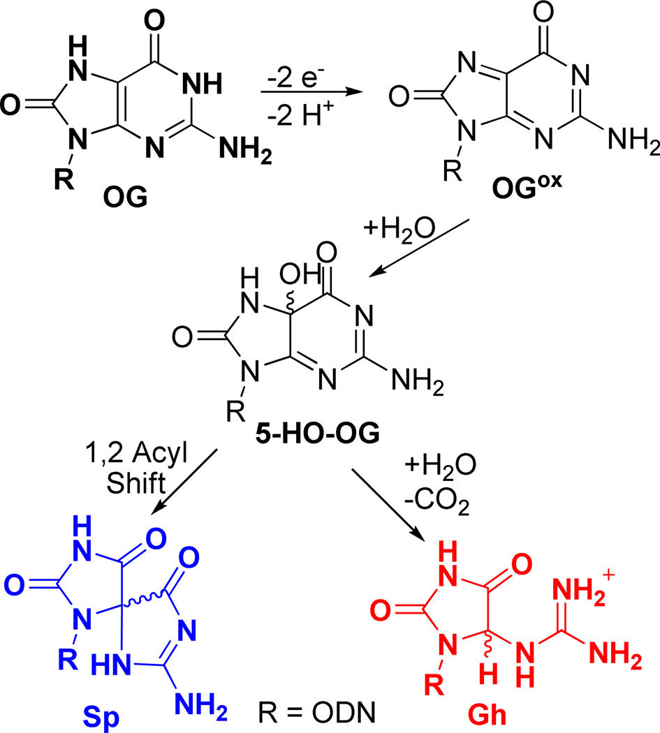 Scheme 3