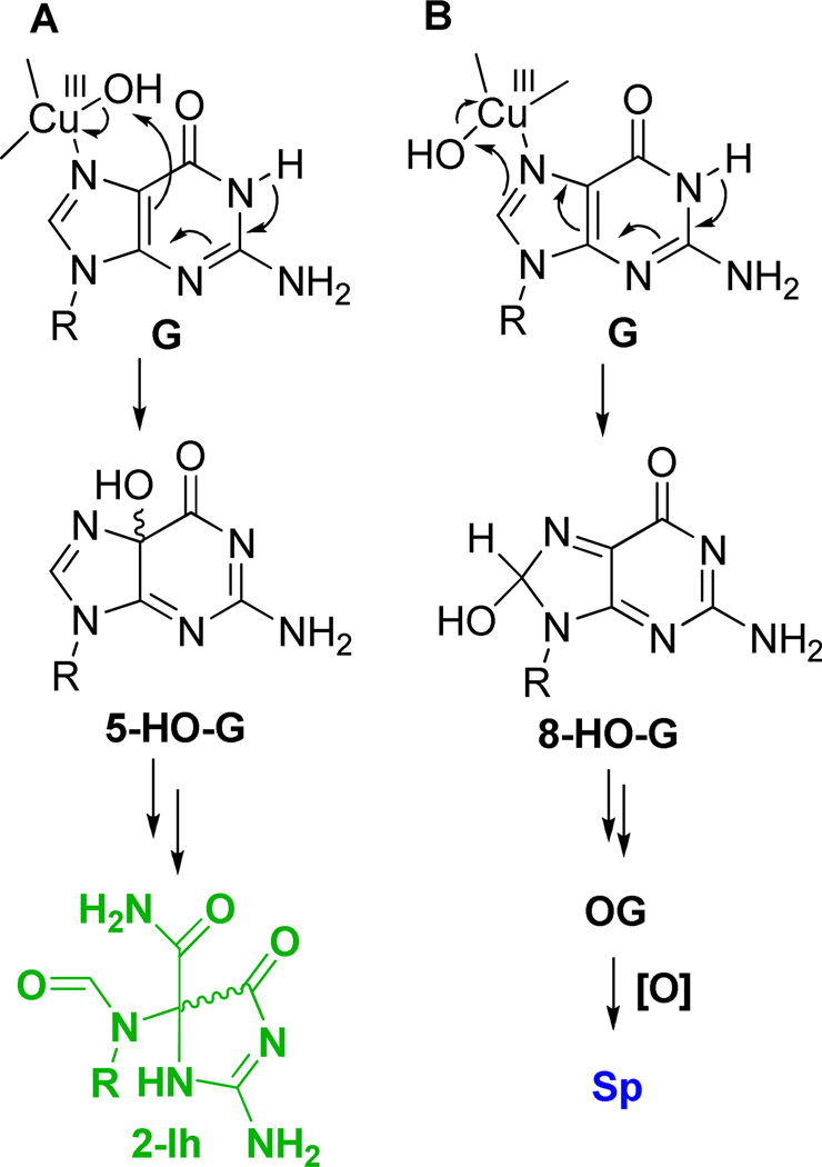 Scheme 5