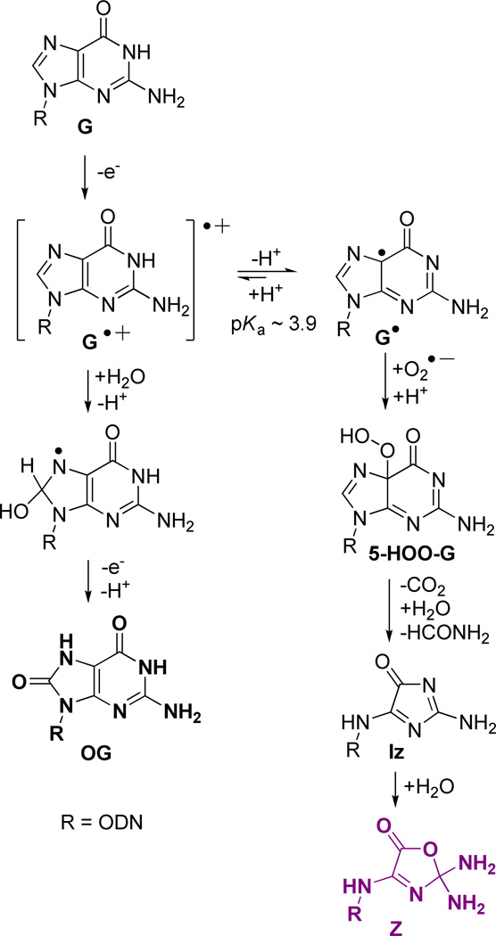 Scheme 2