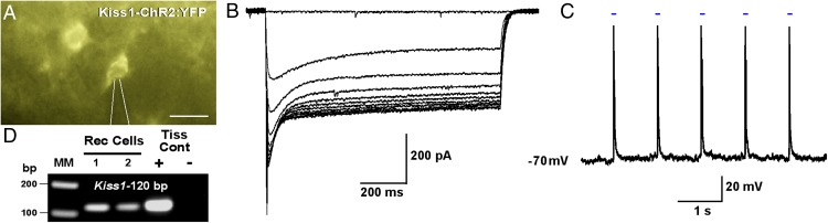 Figure 4.