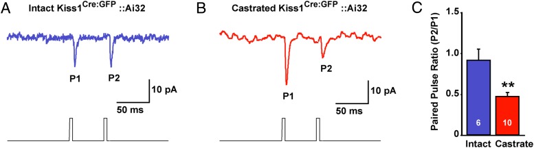 Figure 7.