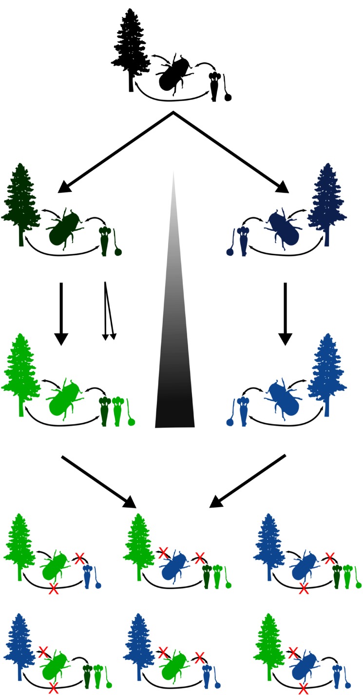 Figure 5.