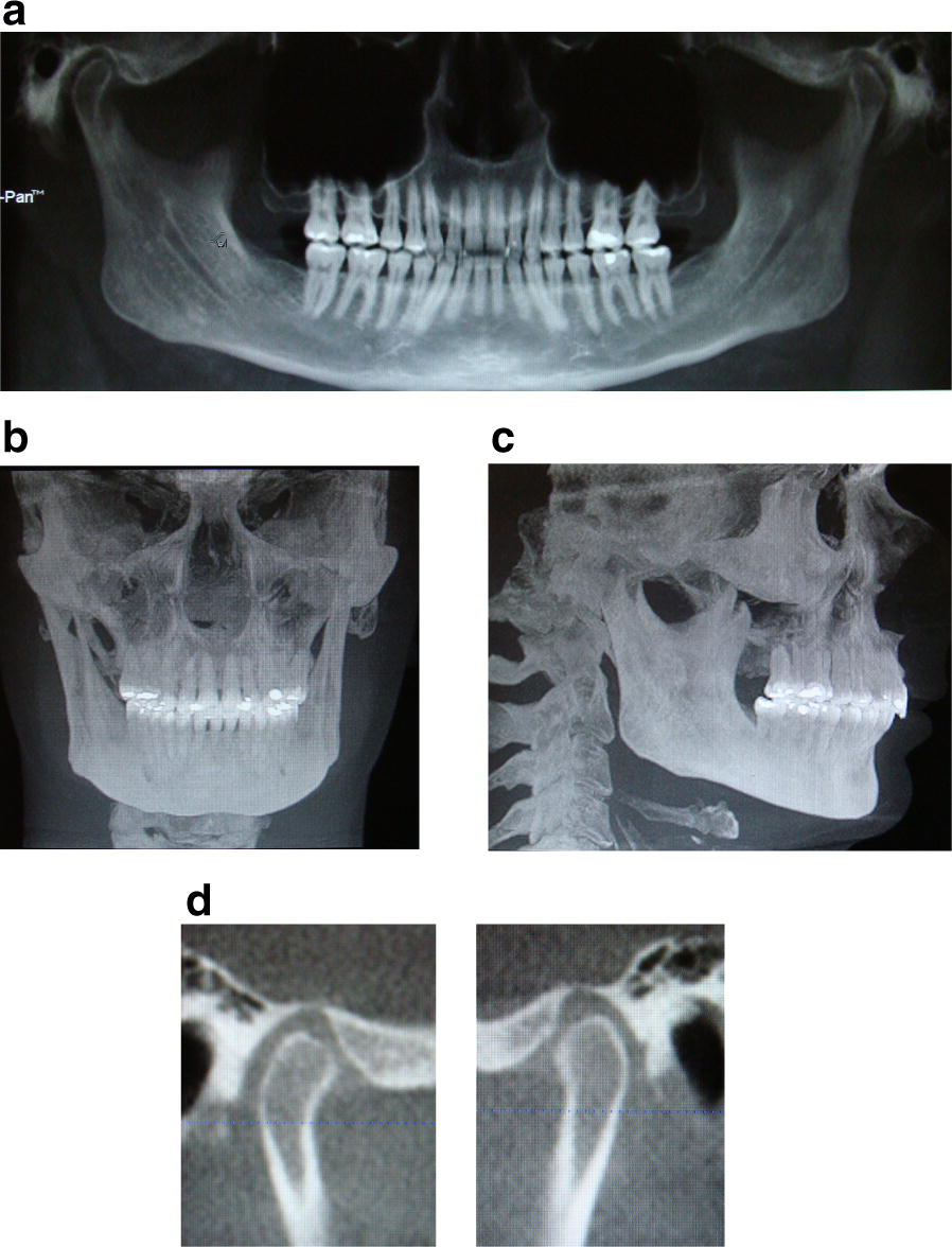 Fig. 5