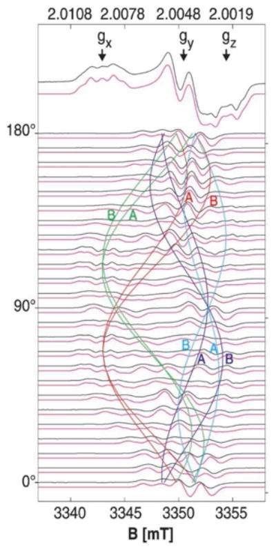 Figure 12