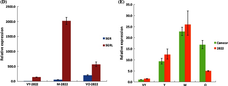 Fig. 3