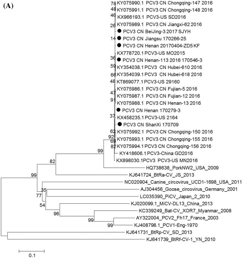 Fig. 1