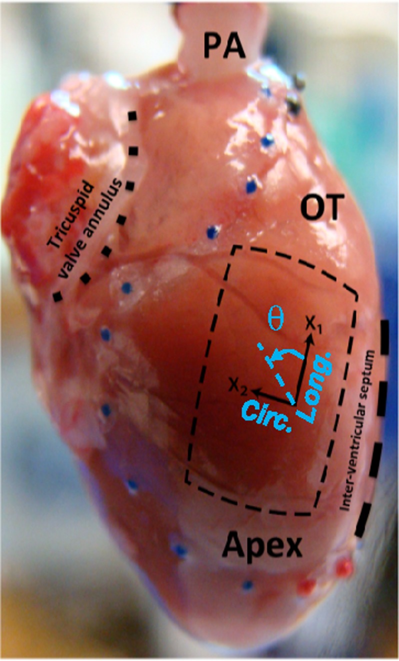 FIG. 2.