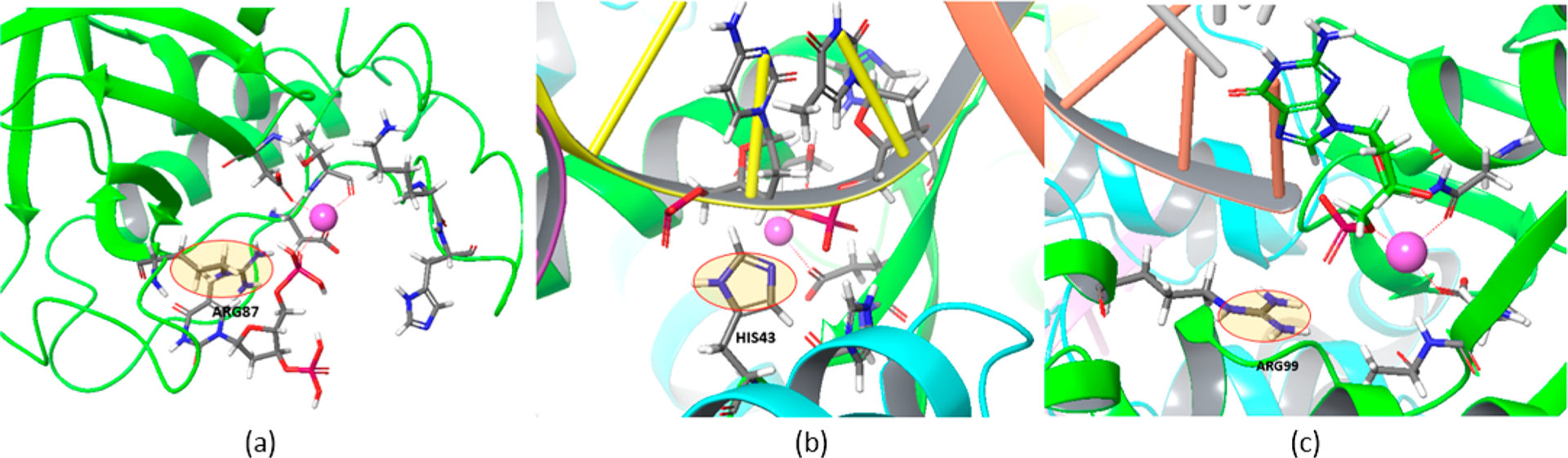 Figure 2.