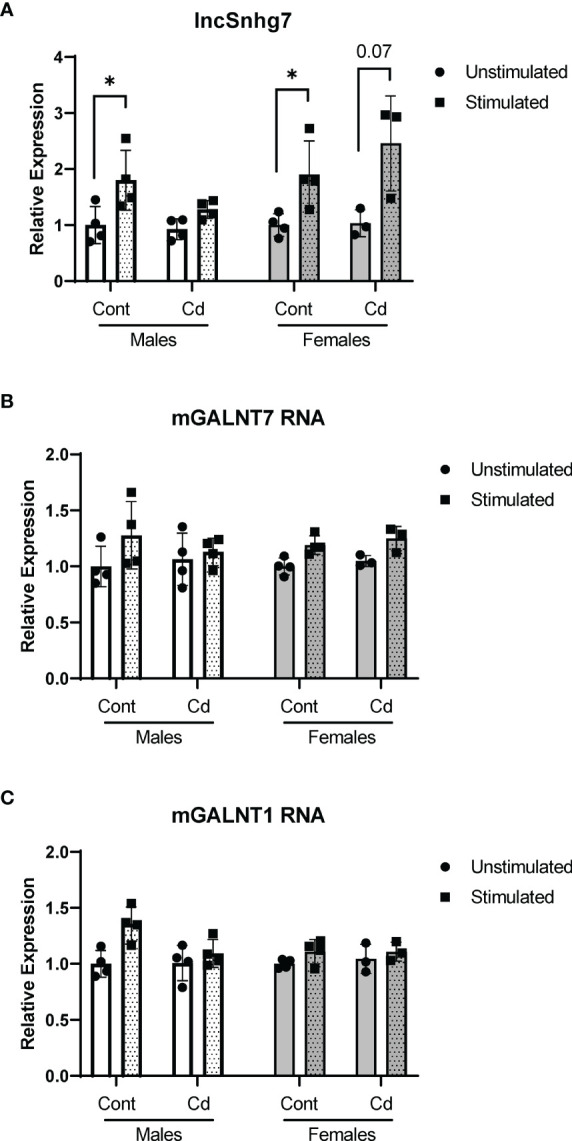 Figure 4