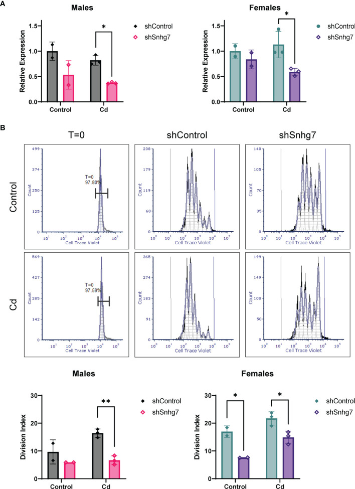 Figure 6