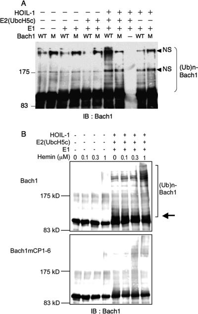 FIG. 7.