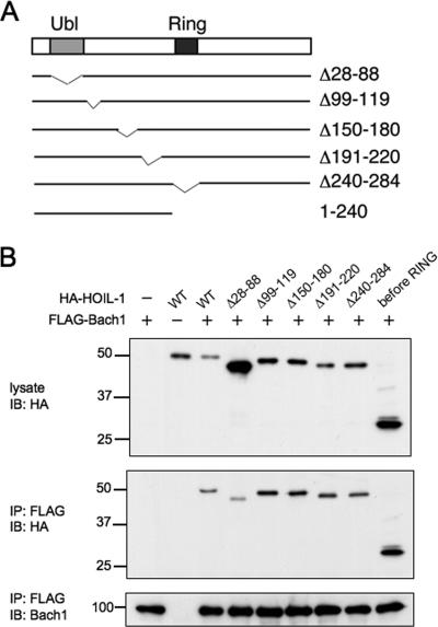 FIG. 9.