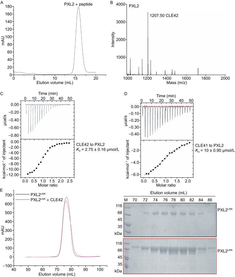 Figure 1