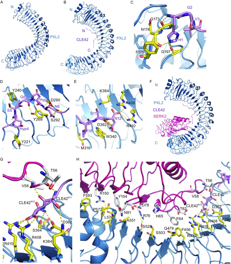 Figure 2