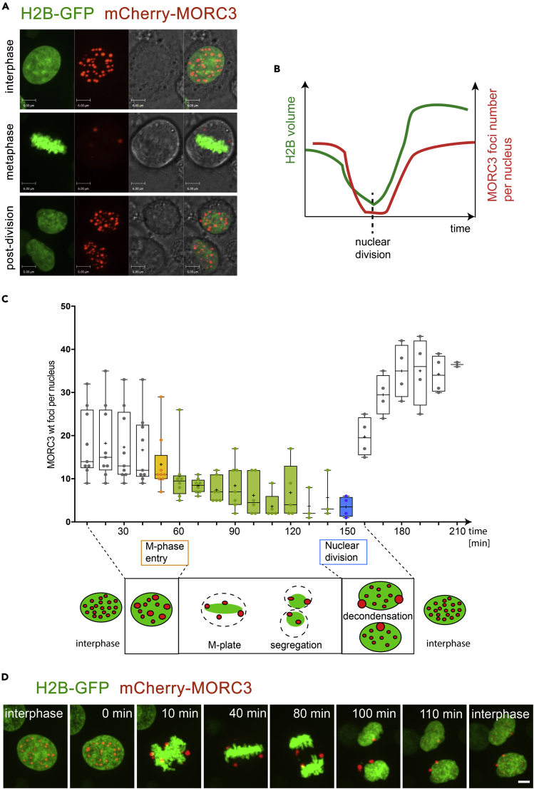 Figure 2