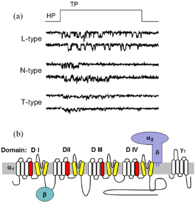 Figure 2.