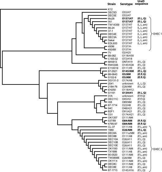 FIG. 5.