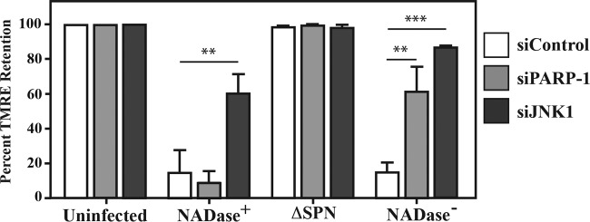 FIG 4 