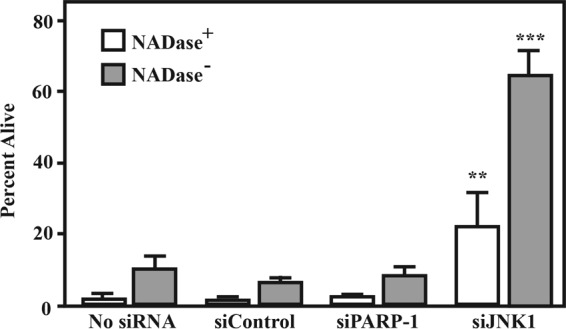 FIG 6 