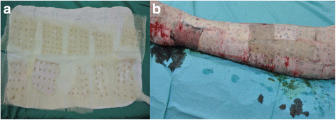 Fig. 7