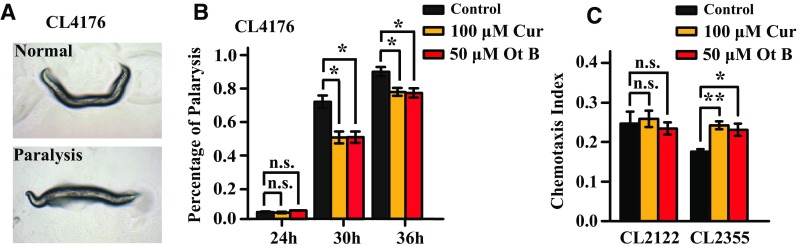 Fig. 3