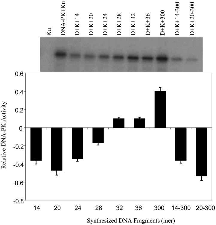 Fig.2