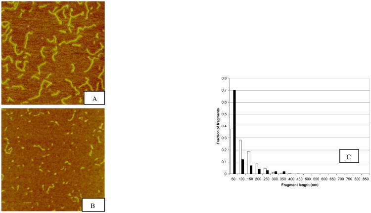 Fig.1