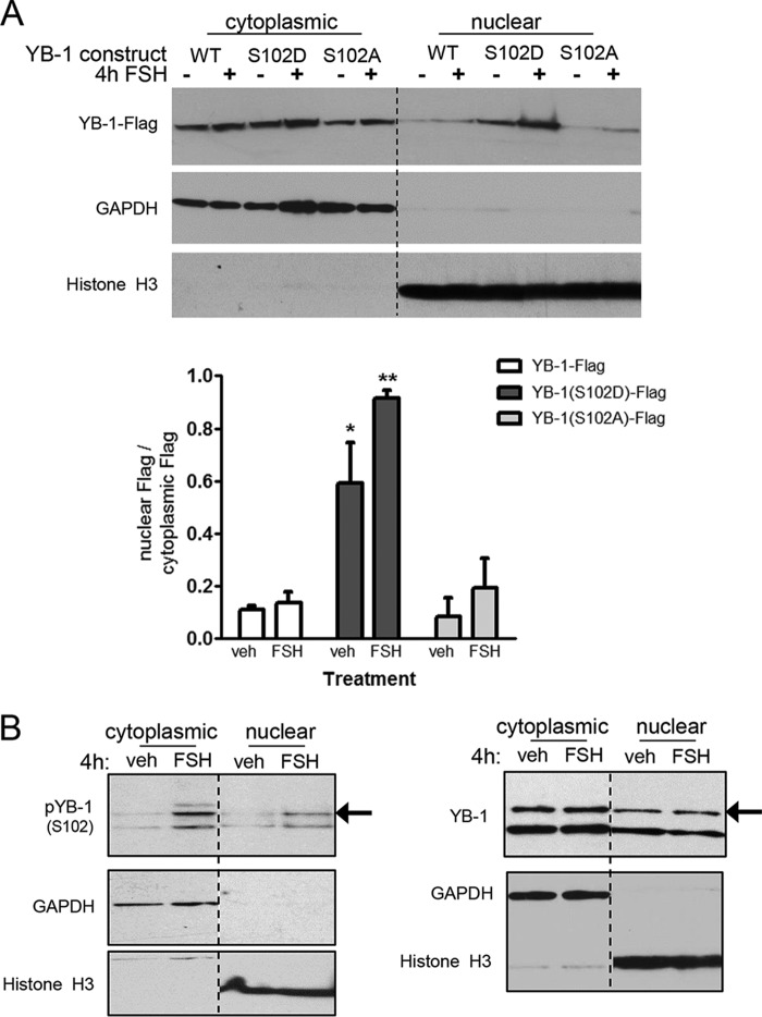 FIGURE 7.