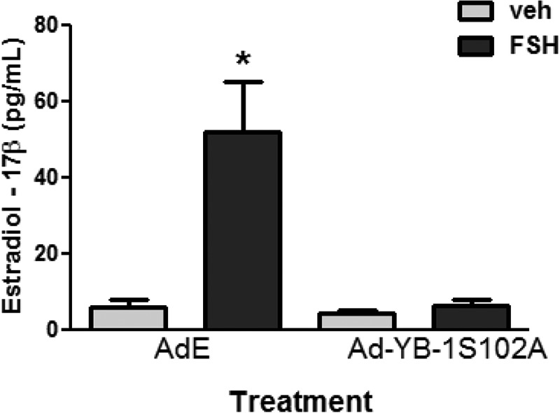 FIGURE 11.