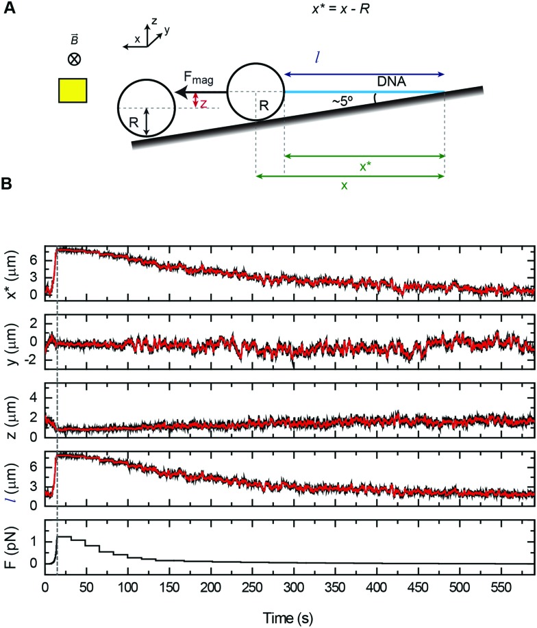 Fig. 3