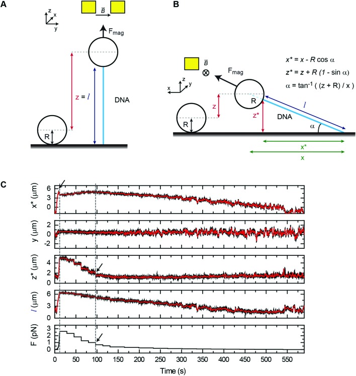 Fig. 2