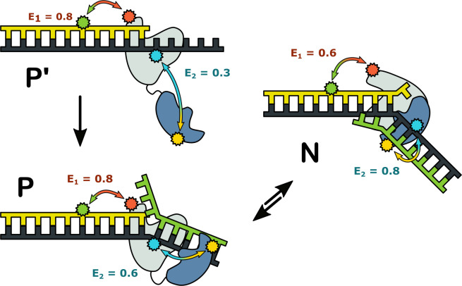 Figure 7.