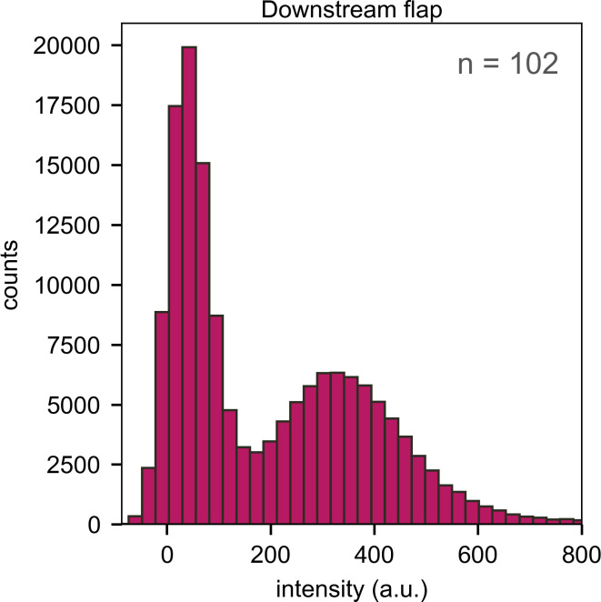 Figure 3—figure supplement 3.