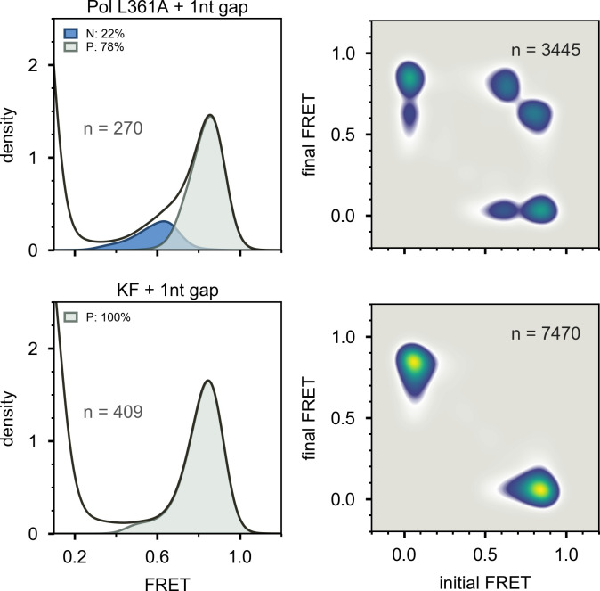 Figure 4—figure supplement 1.