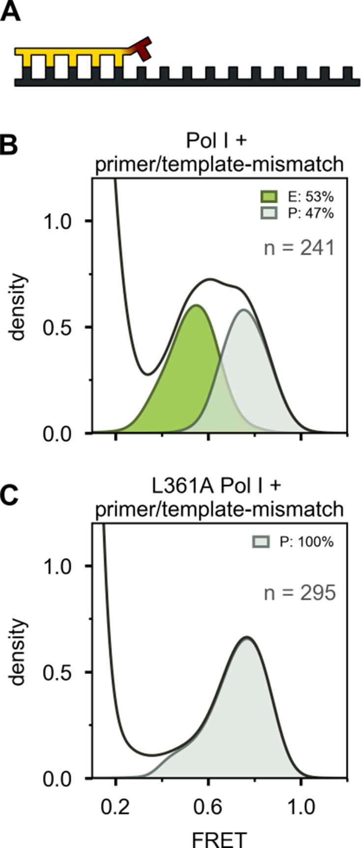 Figure 3—figure supplement 2.