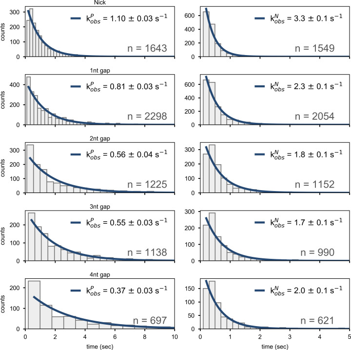 Figure 4—figure supplement 2.