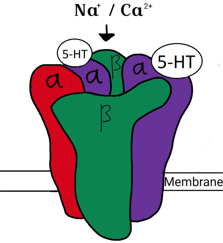 Fig. (2)