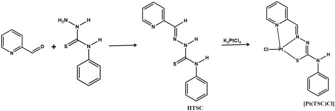 Scheme 1