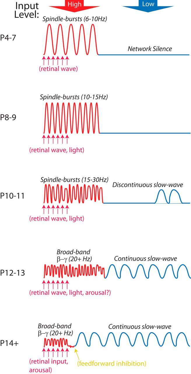 Figure 13.