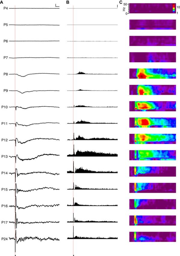 Figure 7.