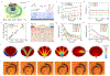 Fig. 3 |