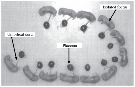 Figure 5: